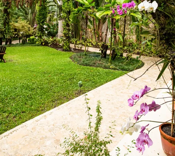 Orchid Garden Casa Colonial Beach & Spa Puerto Plata Orchid Garden Casa Colonial Beach & Spa Puerto Plata