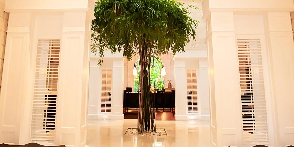 Lobby  Casa Colonial Beach & Spa Puerto Plata Lobby  Casa Colonial Beach & Spa Puerto Plata