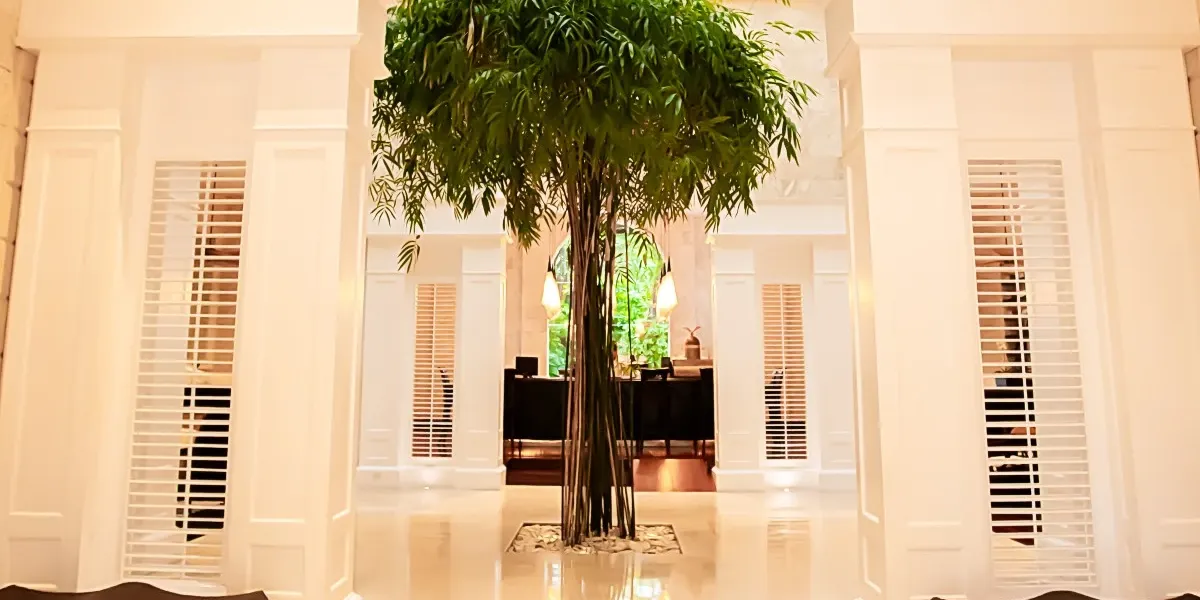 Lobby Casa Colonial Beach & Spa Puerto Plata Lobby Casa Colonial Beach & Spa Puerto Plata