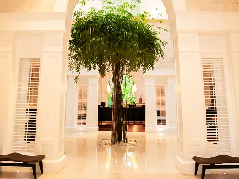 Lobby Casa Colonial Beach & Spa Puerto Plata Lobby Casa Colonial Beach & Spa Puerto Plata