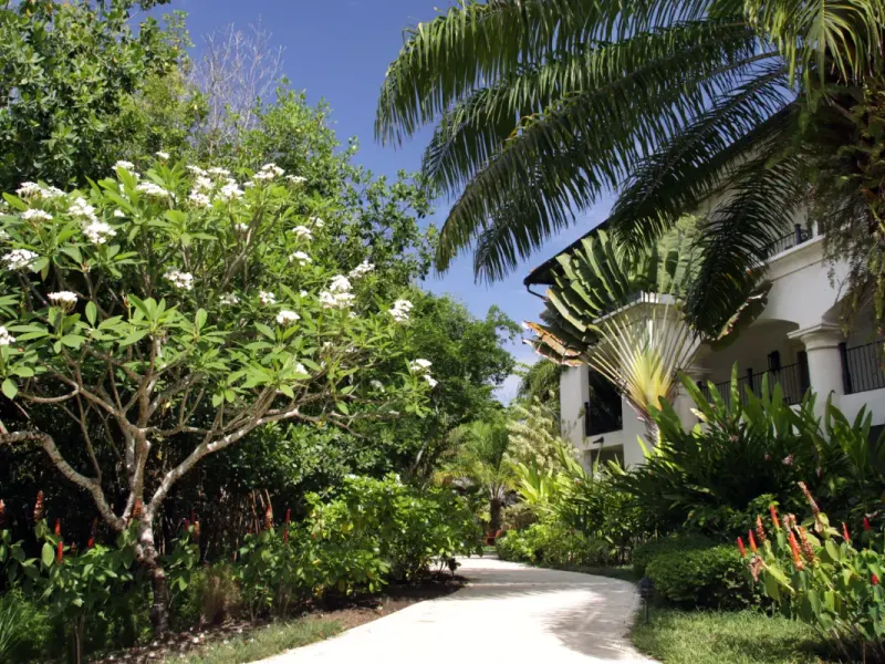 Garden Casa Colonial Beach & Spa Puerto Plata Garden Casa Colonial Beach & Spa Puerto Plata