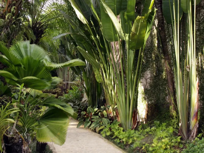 Garden Casa Colonial Beach & Spa Puerto Plata Garden Casa Colonial Beach & Spa Puerto Plata