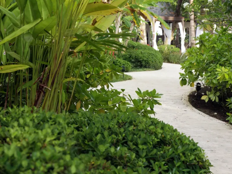 Garden Casa Colonial Beach & Spa Puerto Plata Garden Casa Colonial Beach & Spa Puerto Plata